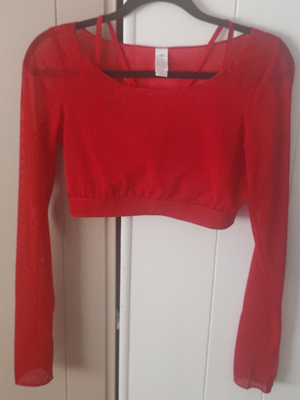 Alo Yoga Red Mesh Long Sleeve Crop Top | Sheer Layered Activewear